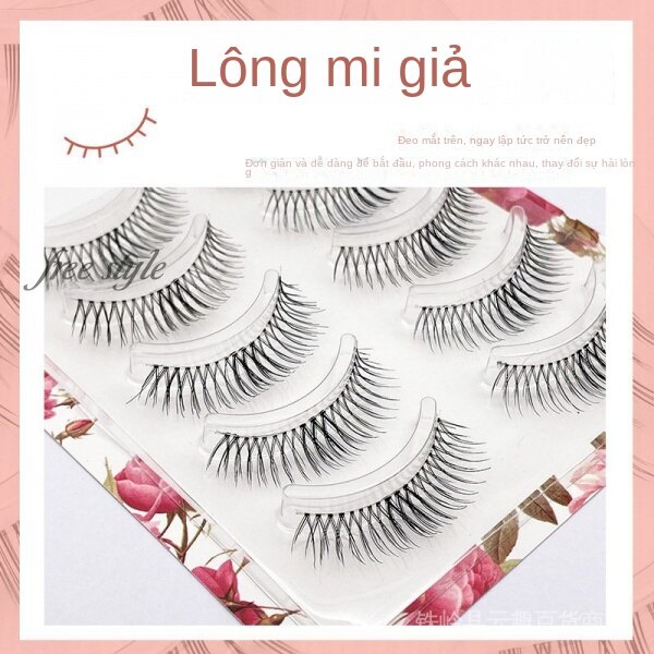 Năm Cặp Lông Mi Giả Tự Nhiên Mềm Mại Handmade Kiểu Chéo