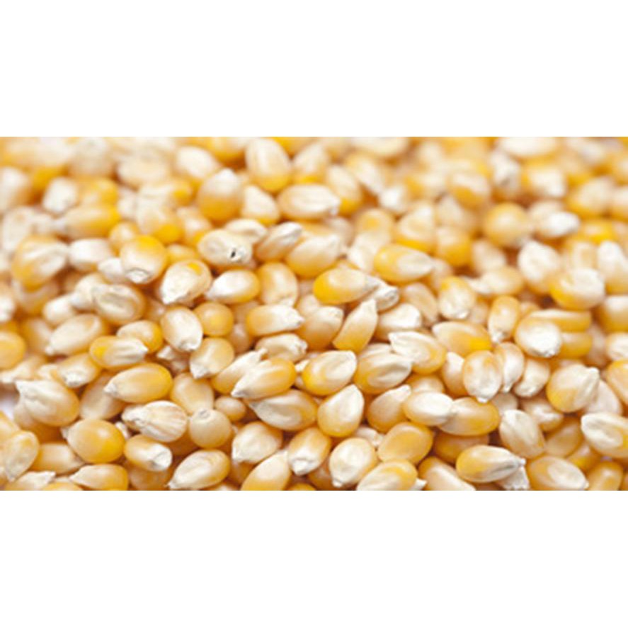 Hạt bắp Mỹ Dùng Nổ Bắp Rang Bơ Trong Rạp Chiếu Phim 350gr/gói