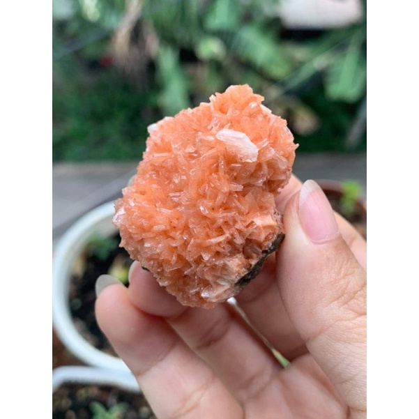 TINH THỂ HEULANDITE