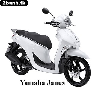 Thảm lót chân dành cho xe Janus