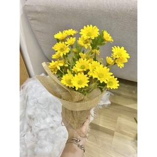 Bình cúc hoạ mi vàng bọc vải