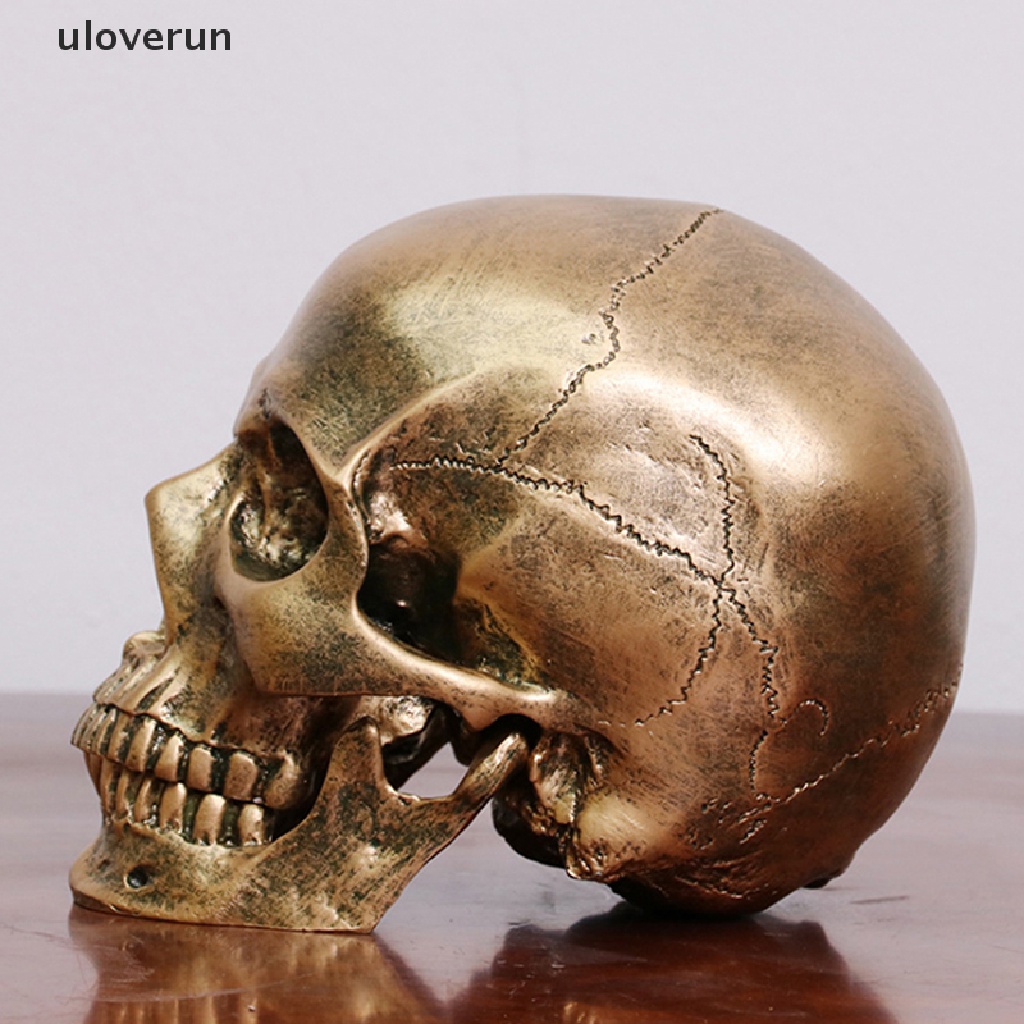 Mô Hình Đầu Lâu Người Bằng Nhựa Resin Đồng Tỉ Lệ 1: 1 Trang Trí Halloween