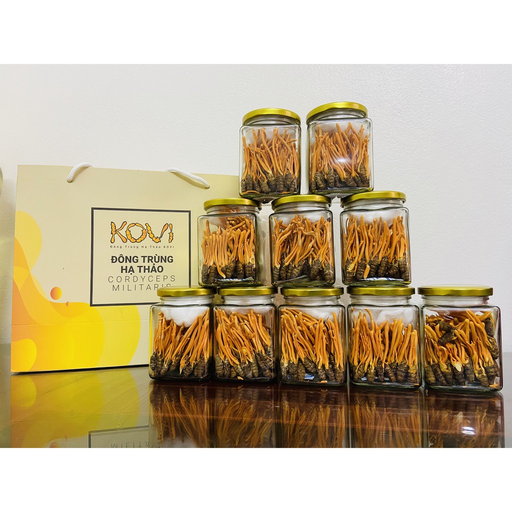 Đông Trùng Hạ Thảo KOVI Nguyên Con sấy thăng hoa