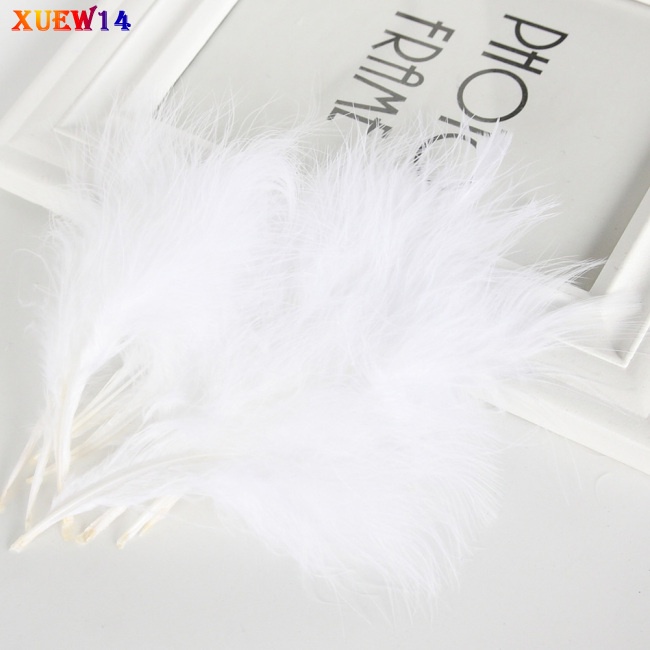 Set 50 lông vũ 4-6 inch 10-15cm nhiều màu sắc dùng trang trí