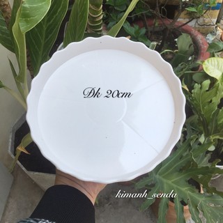 đĩa lót nhựa chậu trồng cây size 20cm, 22cm và 24cm