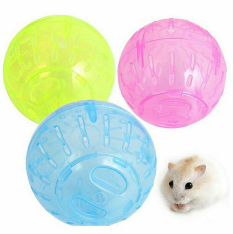 Bóng chạy cho Hamster