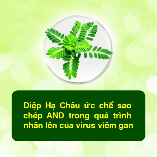 Viên bổ gan Livseven - Bộ Y Tế chứng nhận - Giải độc gan, hạ men gan cao, gan nhiễm mỡ. Hộp 100 viên.