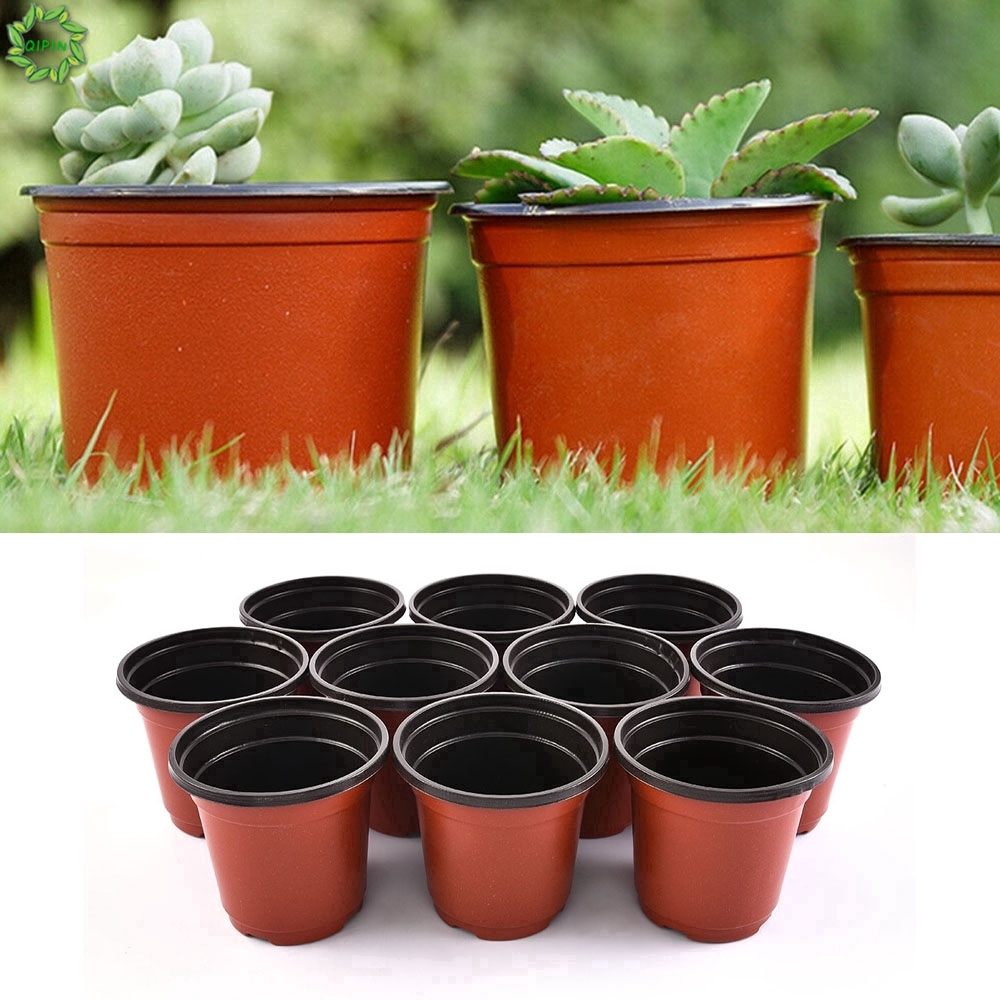 Set 10 Chậu Nhựa Trồng Cây Trong Nhà Tiện Dụng