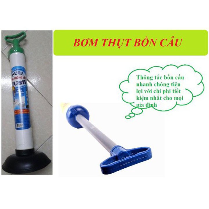 Cây Thông Tắc Bồn Cầu