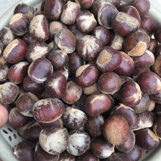 1kg hạt dẻ tươi