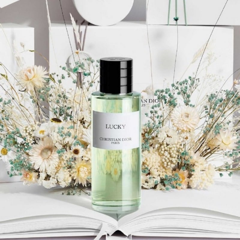 TESTER - Nước hoa Christian Dior Paris Étui De Transport Edp 250ml
