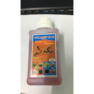 sản phẩm vitamin B12 TD lọ 100ml cho hoa lan cây cảnh