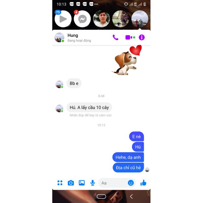 Ống cầu lông Vina Win cao cấp