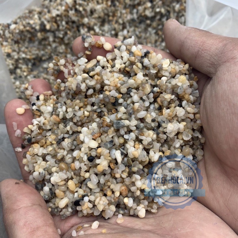 Sỏi nền hồ cá 500g , sỏi muối tiêu rải nền hồ cá