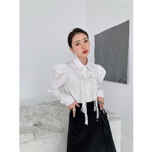 Áo Sơ Mi Tay Dài Cài Nút Phong Cách Hàn Quốc Mới Dễ Phối Đồ Thời Trang Cho Nữ