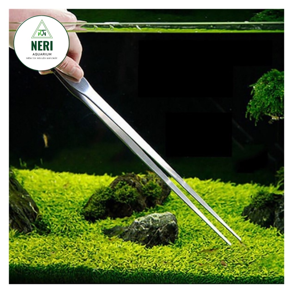 Kéo, Nhíp Cắm Cây Thủy Sinh Không Rỉ 38 cm