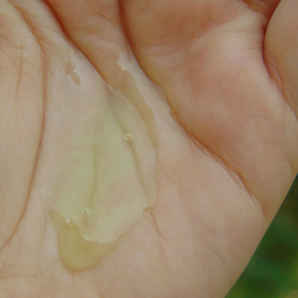 Sữa rửa mặt neem và tràm trà - Aroma Magic Neem & Tea Tree Face Wash - hebenastore | BigBuy360 - bigbuy360.vn