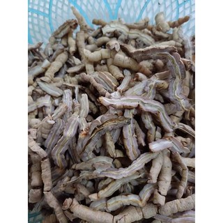 Ba kích tím quảng ninh