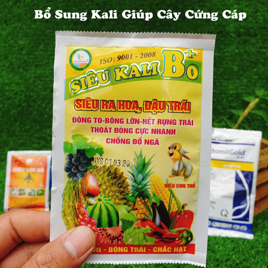 Phân bón vi lượng Siêu kali bo ⚜️FREESHIP⚜️ Cho Lan - Hoa Hồng - Cây Cảnh Gói 20gr [ Chính Hãng ]