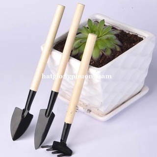 Bộ Dụng Cụ Làm Vườn 3 Món Mini Phương Nam