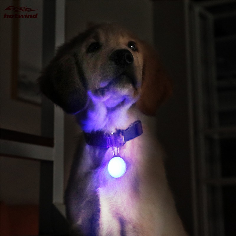 Vòng cổ phát sáng ánh LED phong cách thời trang chất lượng cao cho thú cưng