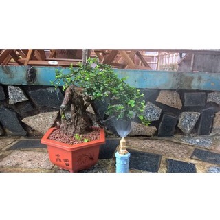 Béc phun sương đồng chân ren 21