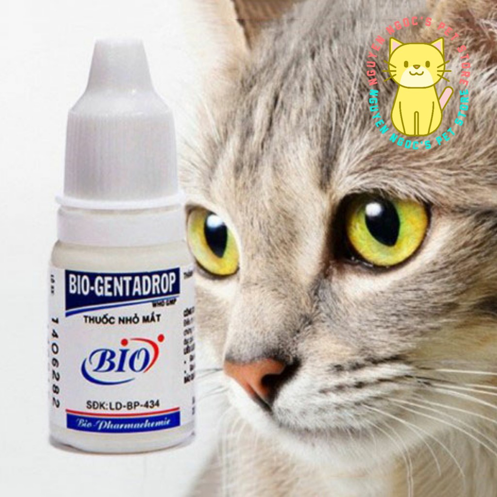 [Mã PET50K giảm Giảm 10% - Tối đa 50K đơn từ 250K] Thuốc nhỏ mắt cho CHÓ MÈO BIO - GENTADROP 10ml