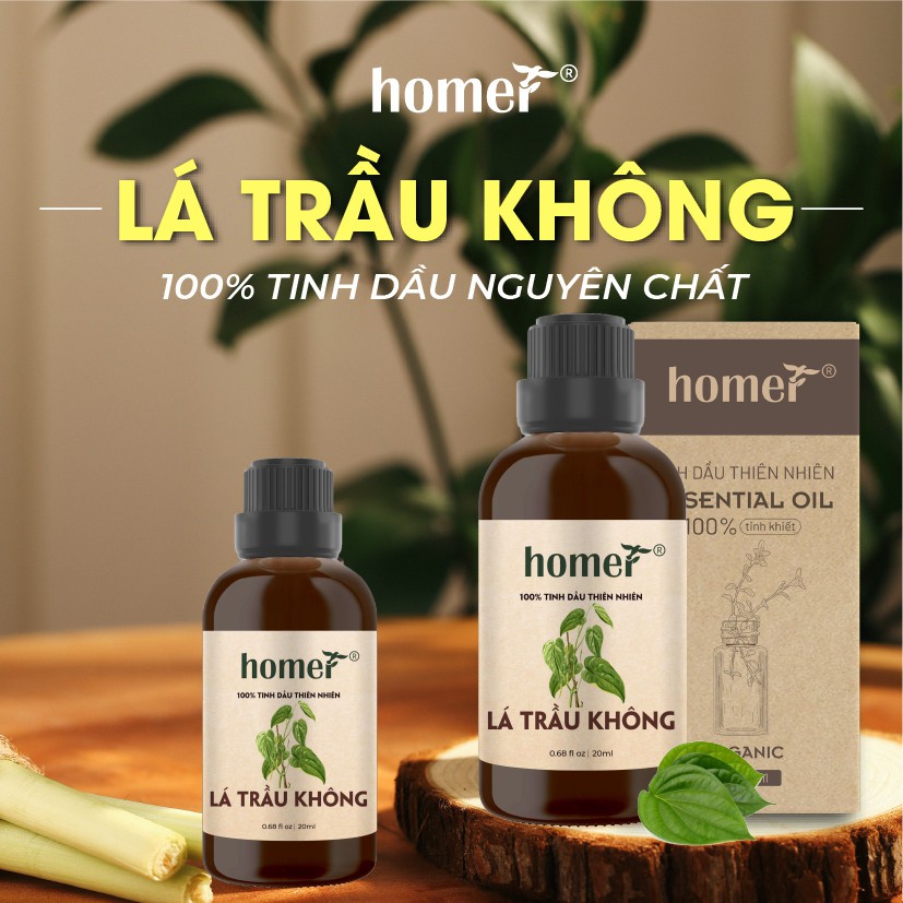 Tinh dầu Lá Trầu Không Homer 500ML/ 1L - Piper Betel Leaf Oil - đạt chuẩn chất lượng kiểm định