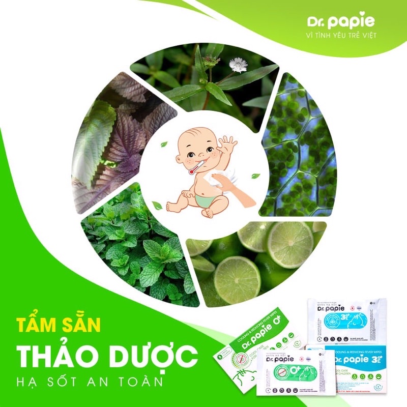 Khăn lau hạ sốt thảo dược Dr Papie 25 tờ (5khăn*5 túi)
