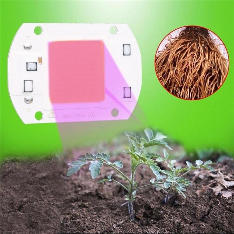 Đèn LED Kích Thích Tăng Trưởng Cho Cây Cảnh 20W/30W/50W COB