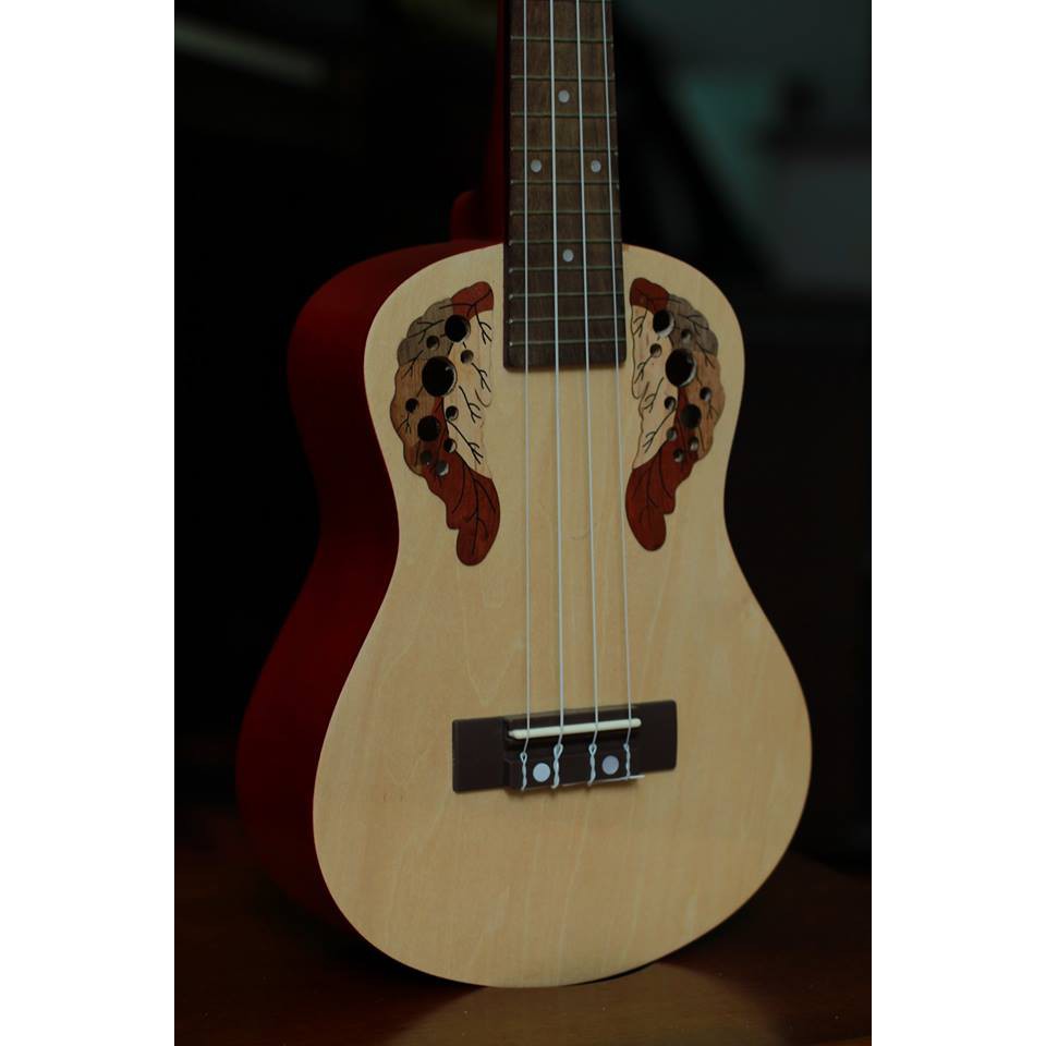 ( RẺ VÔ ĐỊCH ) ĐÀN UKULELE CONCERT LỖ OVAL