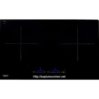 Bếp từ munchen gm 5656