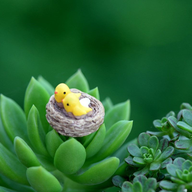 Set 2 chú chim mini trang trí sân vườn