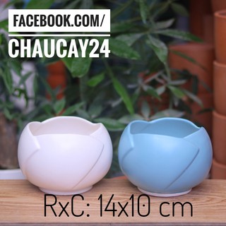 Chậu Sứ Trồng Cây Cảnh Để Bàn, Cây Nội Thất Hình Búp Sen