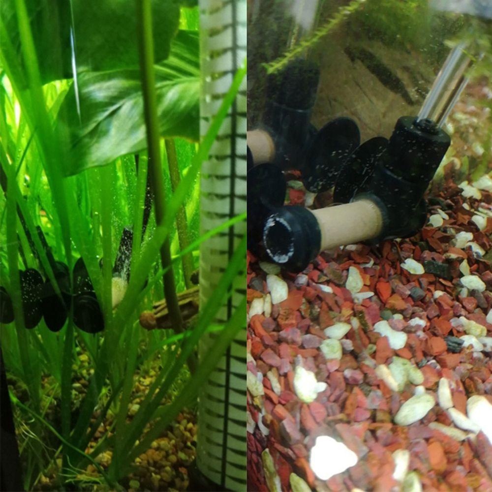 Máy Tạo Bọt Khí CO2 Cho Bể Cá