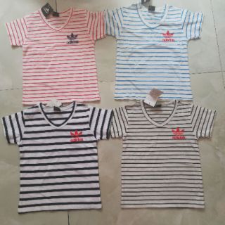 Combo 4 áo cotton 4c
