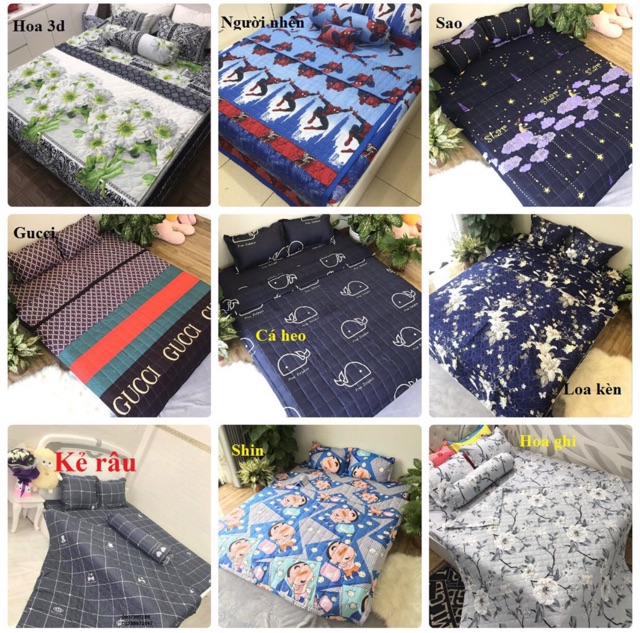 Bộ ga gối poly cotton m6/m8 ( được chọn mẫu) | BigBuy360 - bigbuy360.vn