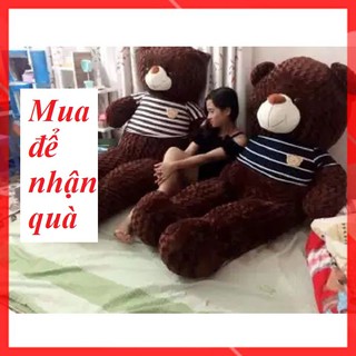 Gấu Bông Teddy 1M6 ⚡ FREESHIP ⚡ Gấu Bông Teddy 1m6 Đáng Yêu