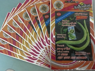 Hạt giống dưa chuột rắn