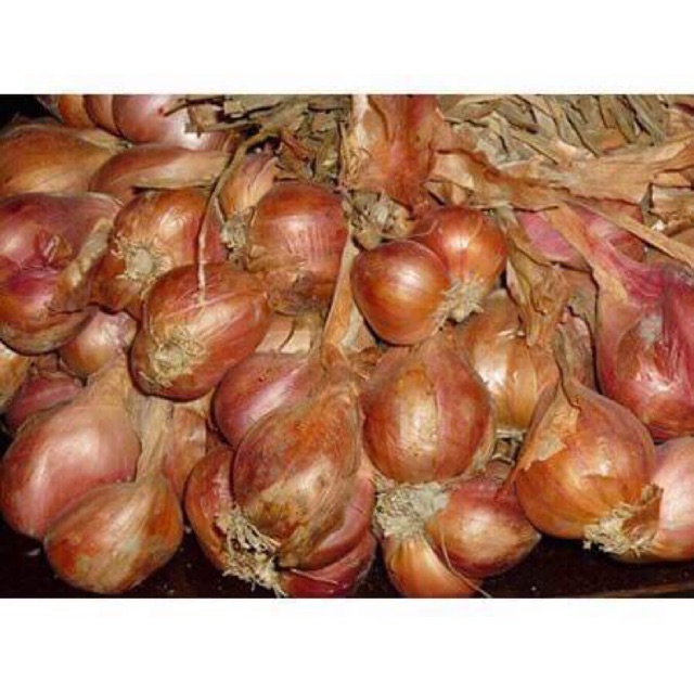 Củ hành ta 1kg