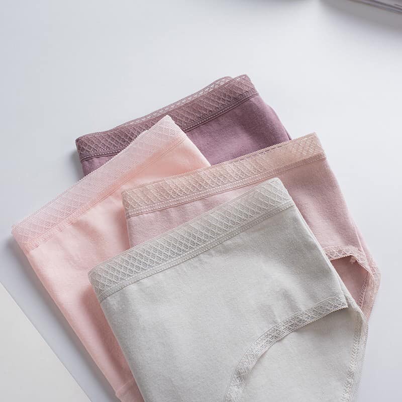 QUẦN LÓT COTTON 365 KHÔNG HẰN KHÁNG KHUẨN CHỐNG HPV 10 MÀU BIG SIZE