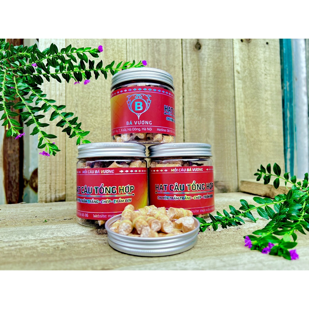 Hộp hạt câu Bá Vương - Bá Vương Fishing