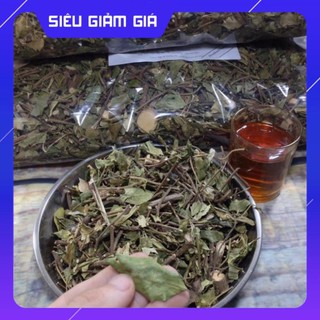 [Nguyên Chất 100%] Dây Thìa Canh Thái Nguyên ( Dây Thìa Canh Lá To )