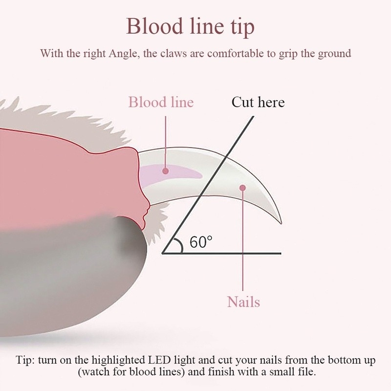 Kéo cắt móng có đèn LED bằng thép không gỉ chuyên nghiệp cho thú cưng
