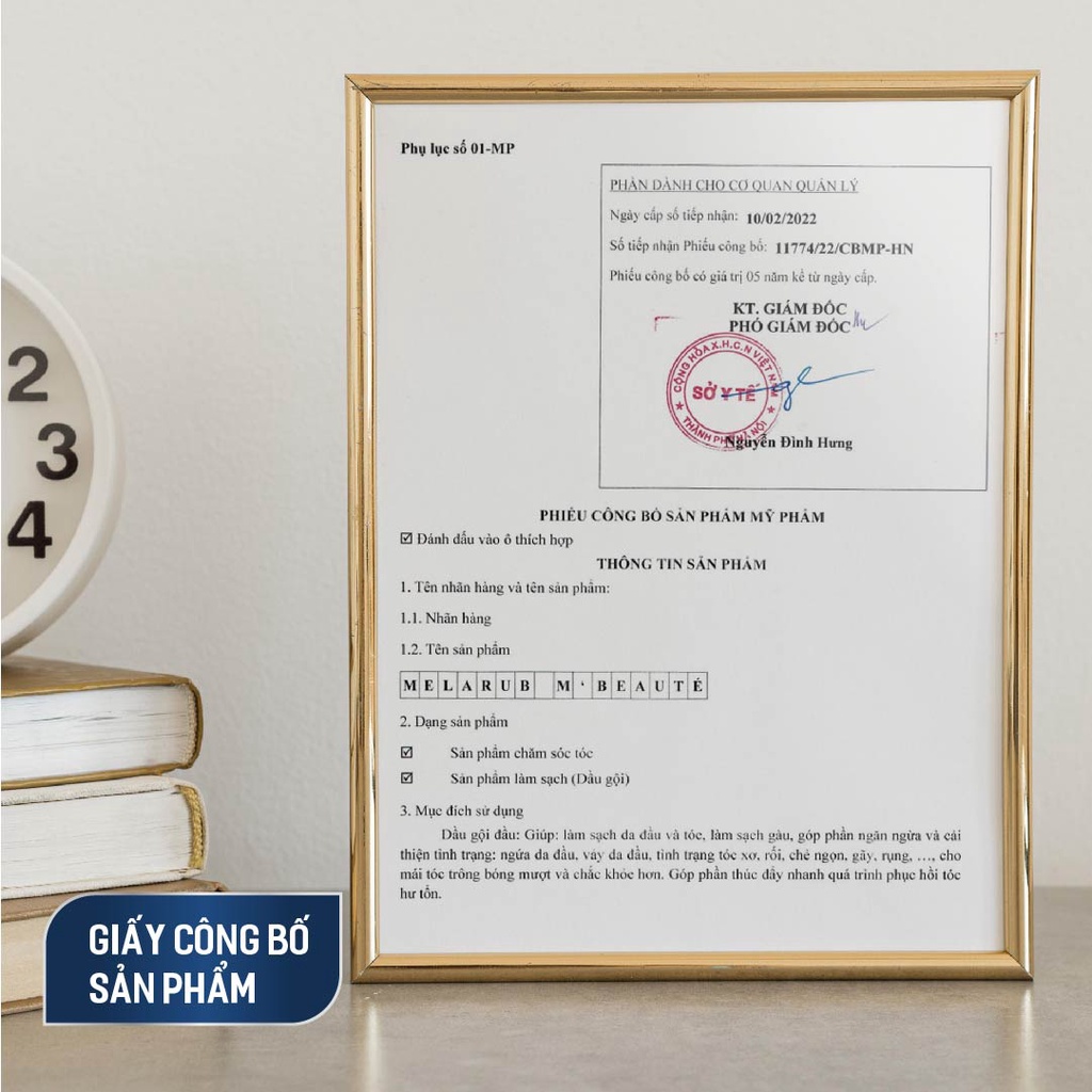 Dầu Gội Sạch Gàu Melarub Sạch Da Đầu, Ngăn Ngừa Gàu Anti Dandruff Shampoo Chai 220ml