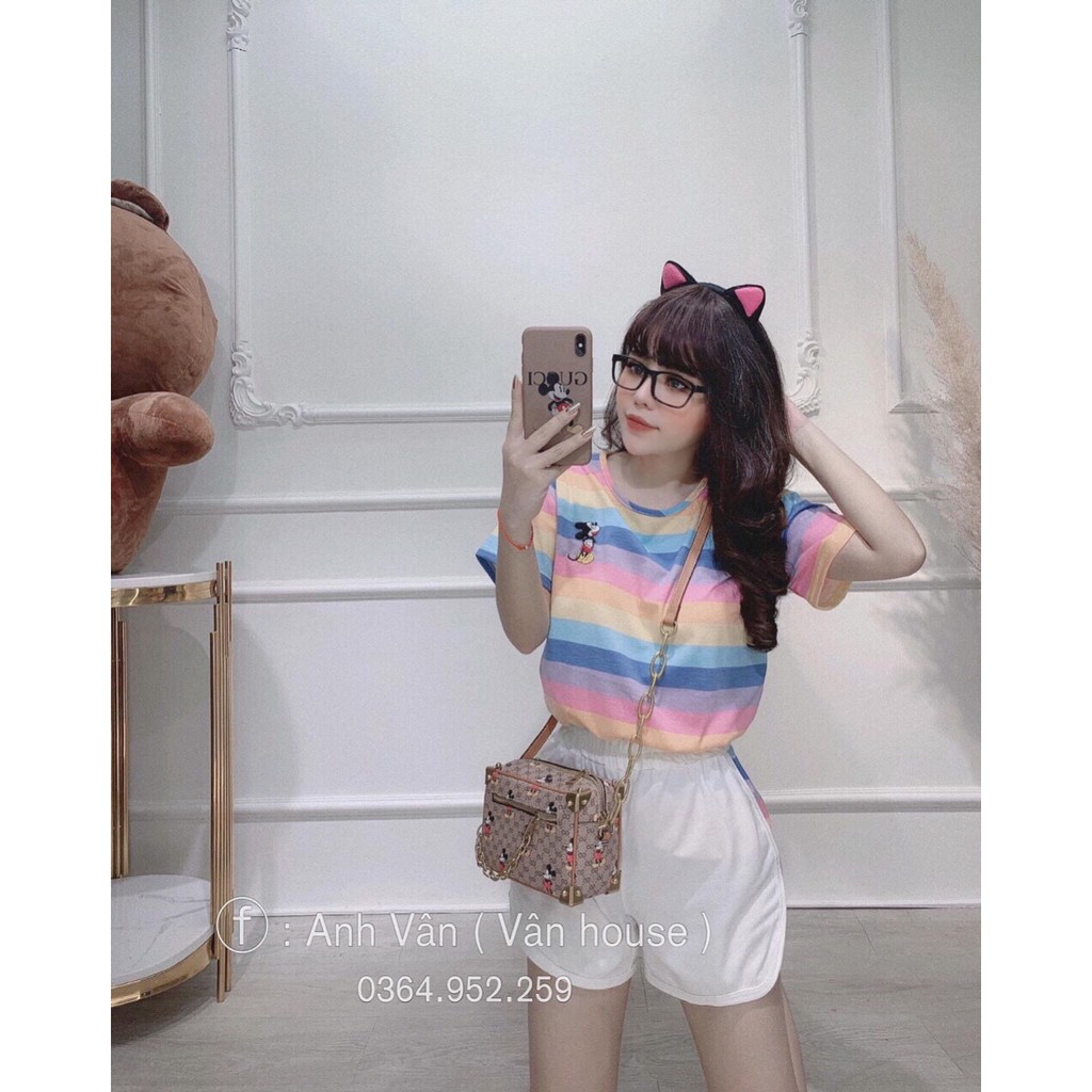 Bộ thun áo sọc phối nhiều màu thêu mickey
