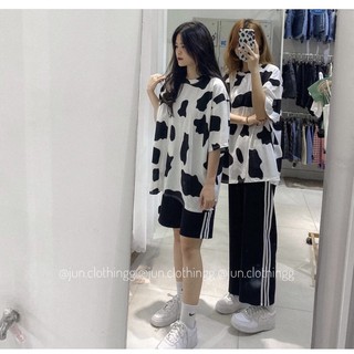 ✨set bộ bò sữa cực hot 2021