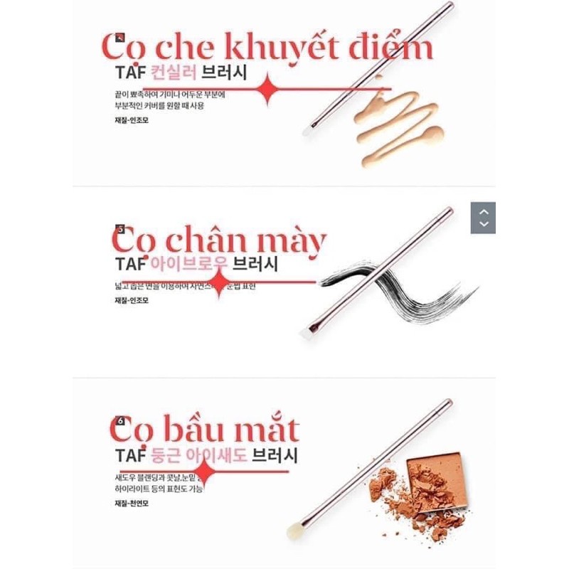 Bộ cọ trang điểm Taf