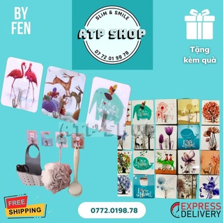 Móc dán tường 3 D siêu dính nhiều họa tiết