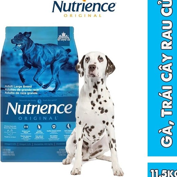 [DINH DƯỠNG CAO] Thức Ăn Cho Chó Đốm (Dalmatian) Nutrience Original Bao 11,5kg - Thịt Gà, Gạo Lứt, Rau Củ Và Trái Cây